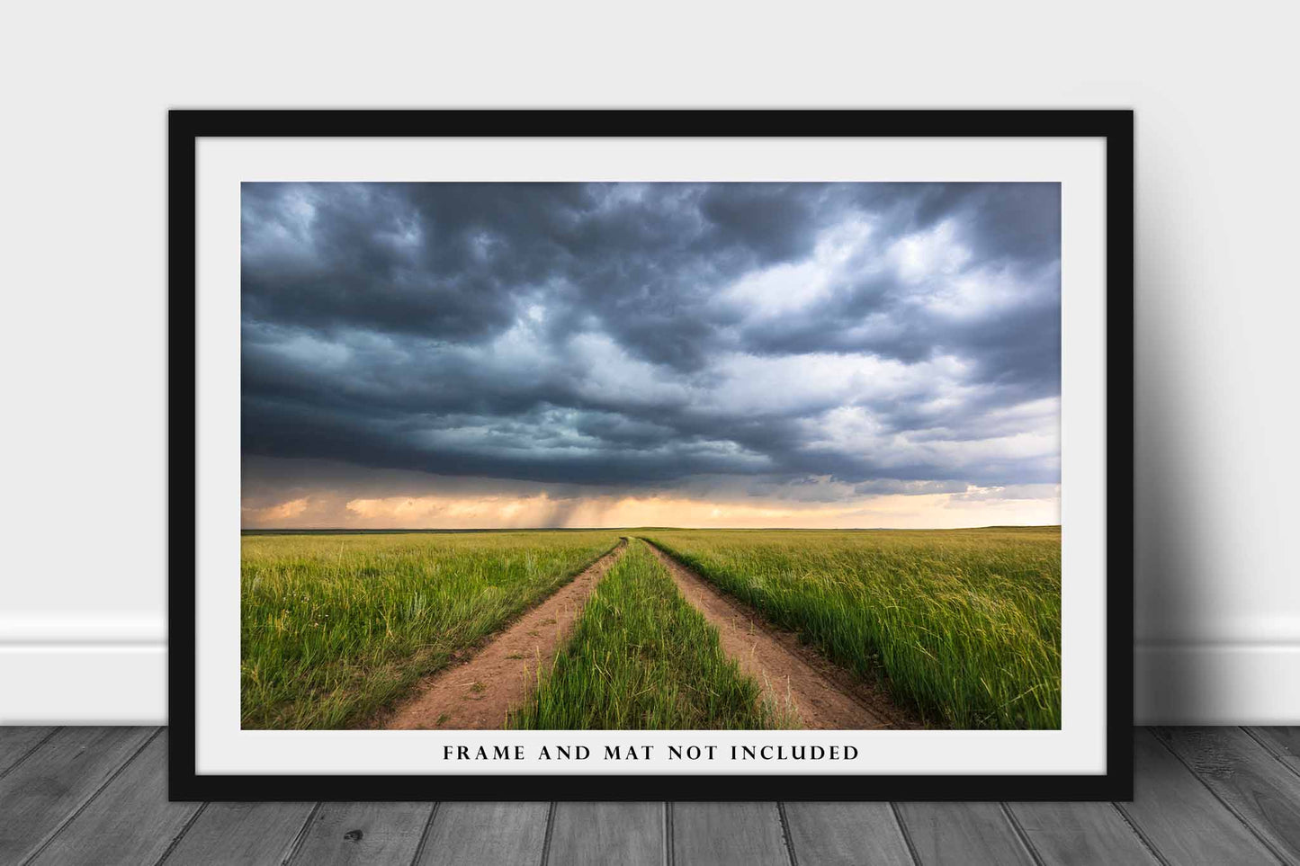Northern Plains Photography Print (Not Framed) Picture of Wheel Ruts in Prairie Grass on Stormy Day in Wyoming Ranching Wall Art Western Decor