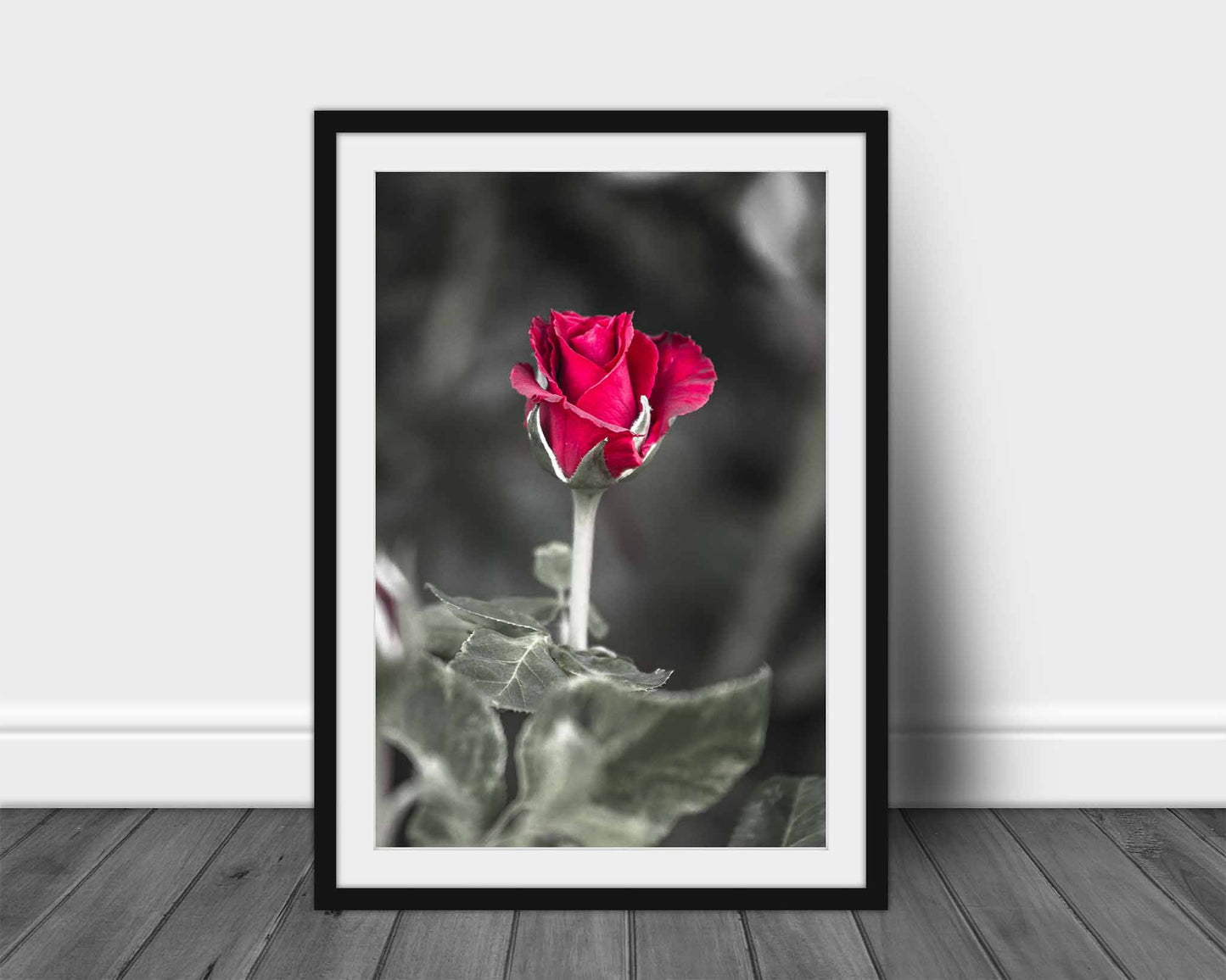 Rose Photography Print | Vertical Flower Picture | Floral Wall Art | Oklahoma Photo | Nature Decor | Not Framed