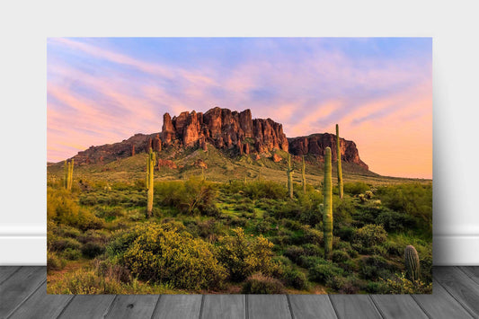 Sonoran Desert landscape metal print on aluminum of the Superstition Mountains at sunset on a spring evening at Lost Dutchman State Park, Arizona by Sean Ramsey of Southern Plains Photography.