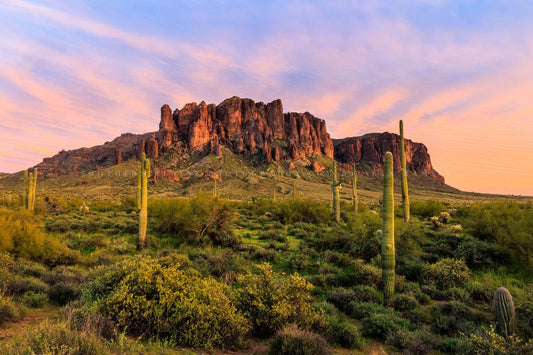 Sonoran Desert photography print of the Superstition Mountains overlooking saguaro cactus at sunset on a spring evening at Lost Dutchman State Park near Phoenix, Arizona by Sean Ramsey of Southern Plains Photography.