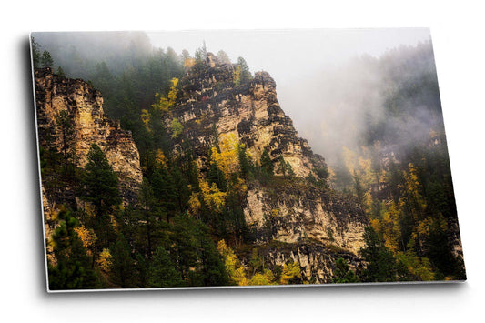 Black Hills metal print of the blackened walls of Spearfish Canyon shrouded in fog and adorned with fall color on an autumn day in South Dakota by Sean Ramsey of Southern Plains Photography.