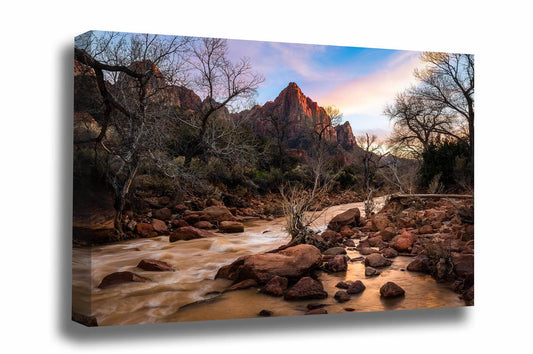 Southwestern gallery wrapped canvas wall art of The Watchman overlooking the Virgin River at sunset on a spring evening in Zion National Park, Utah by Sean Ramsey of Southern Plains Photography.