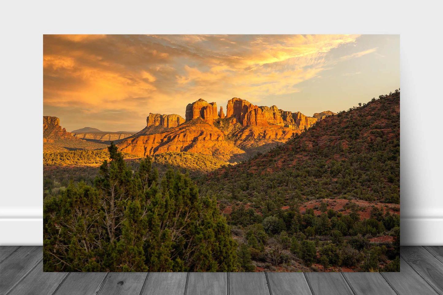 Western landscape aluminum metal print wall art of Cathedral Rock in evening sunlight near Sedona, Arizona by Sean Ramsey of Southern Plains Photography.