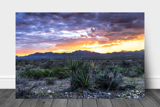 Desert landscape metal print wall art on aluminum of a colorful sunrise over mountains in West Texas by Sean Ramsey of Southern Plains Photography.