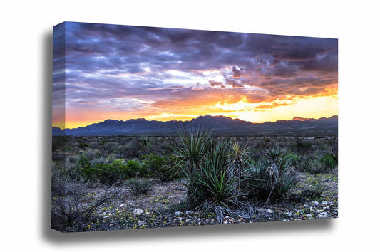 Desert landscape canvas wall art of a colorful sunrise over mountains in West Texas by Sean Ramsey of Southern Plains Photography.