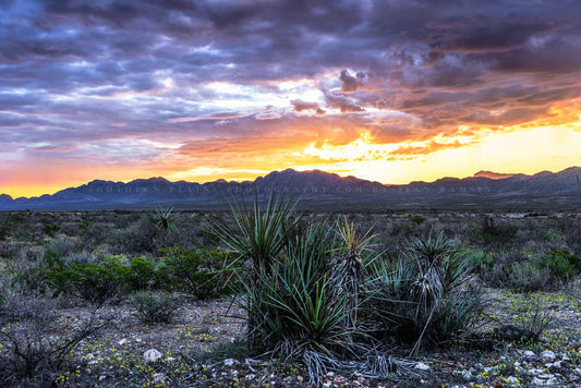 Desert landscape photography print of a colorful sunrise over mountains in West Texas by Sean Ramsey of Southern Plains Photography.