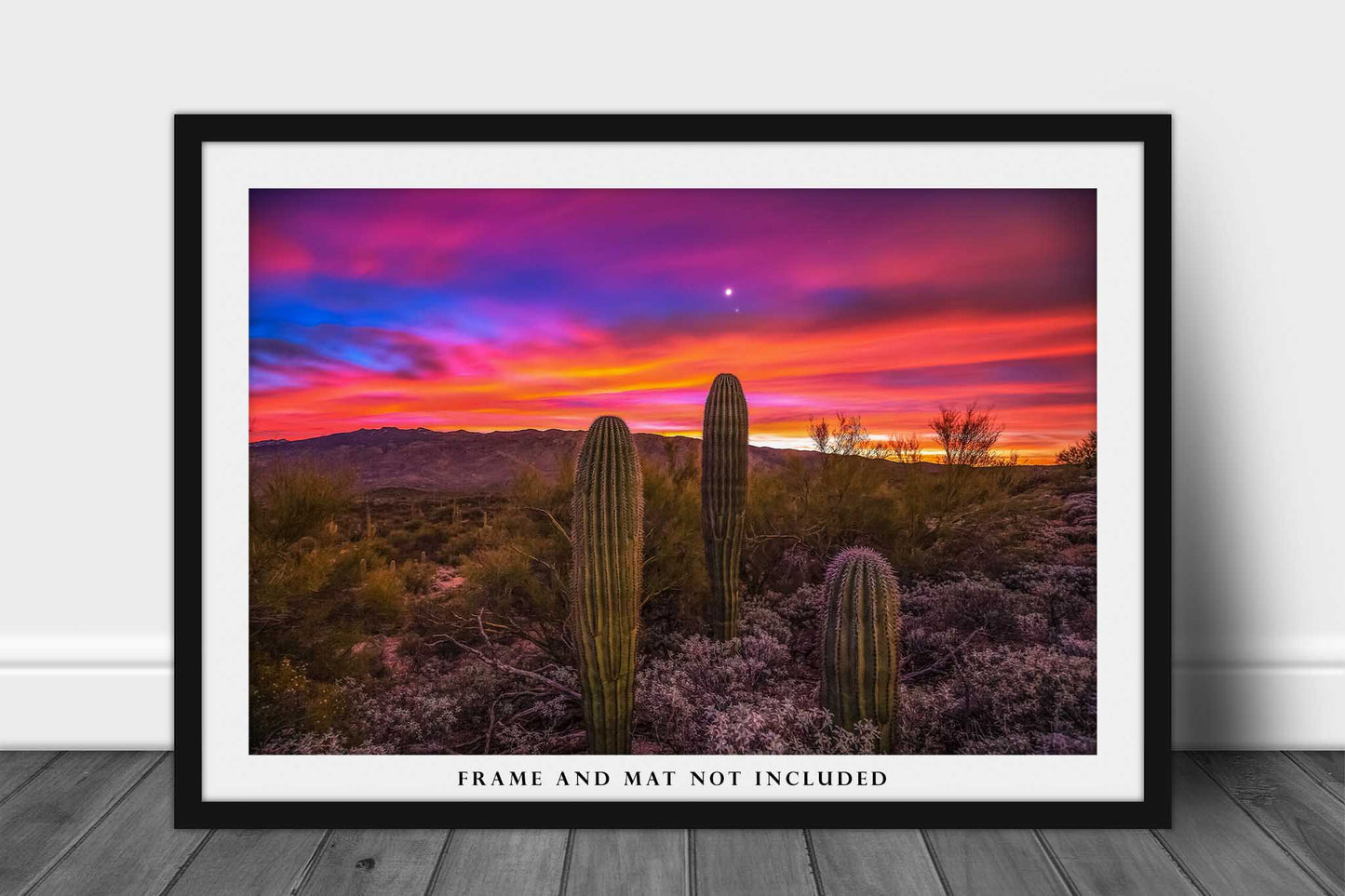 Sonoran Desert Photography Print | Saguaro Cactus Picture | Desert Wall Art | Arizona Photo | Southwestern Decor | Not Framed