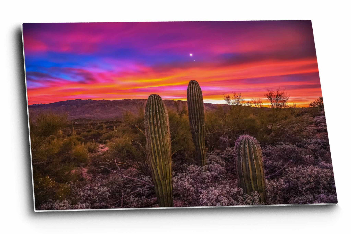 Southwestern metal print of saguaro cactus under a vivid sky as Venus and Jupiter twinkle above at sunrise in the Sonoran Desert near Tucson, Arizona by Sean Ramsey of Southern Plains Photography.