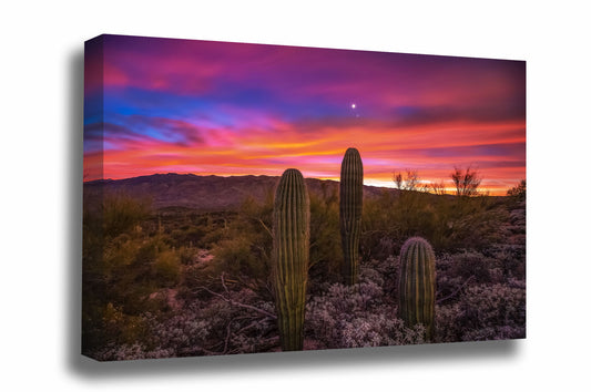 Southwestern canvas wall art of saguaro cactus under Venus and Jupiter as they twinkle during a vibrant sunrise in the Sonoran Desert near Tucson, Arizona by Sean Ramsey of Southern Plains Photography.