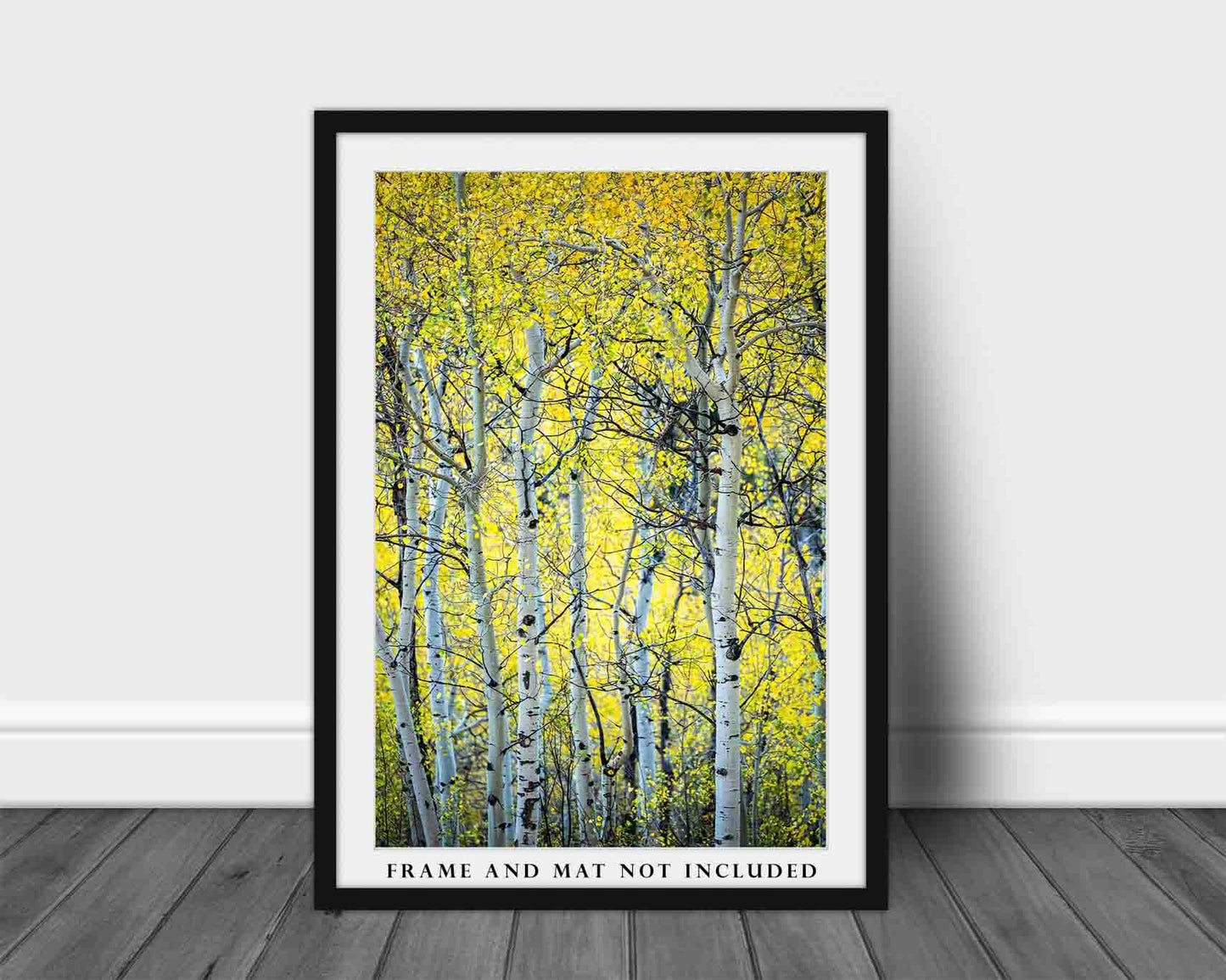 Nature Photo Print | Vertical Aspen Tree Grove Picture | Colorado Wall Art | Forest Photography | Rocky Mountain Decor