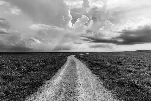 Black and white Great Plains photography print of a dirt road passing through the Tallgrass Prairie National Preserve in Kansas by Sean Ramsey of Southern Plains Photography.