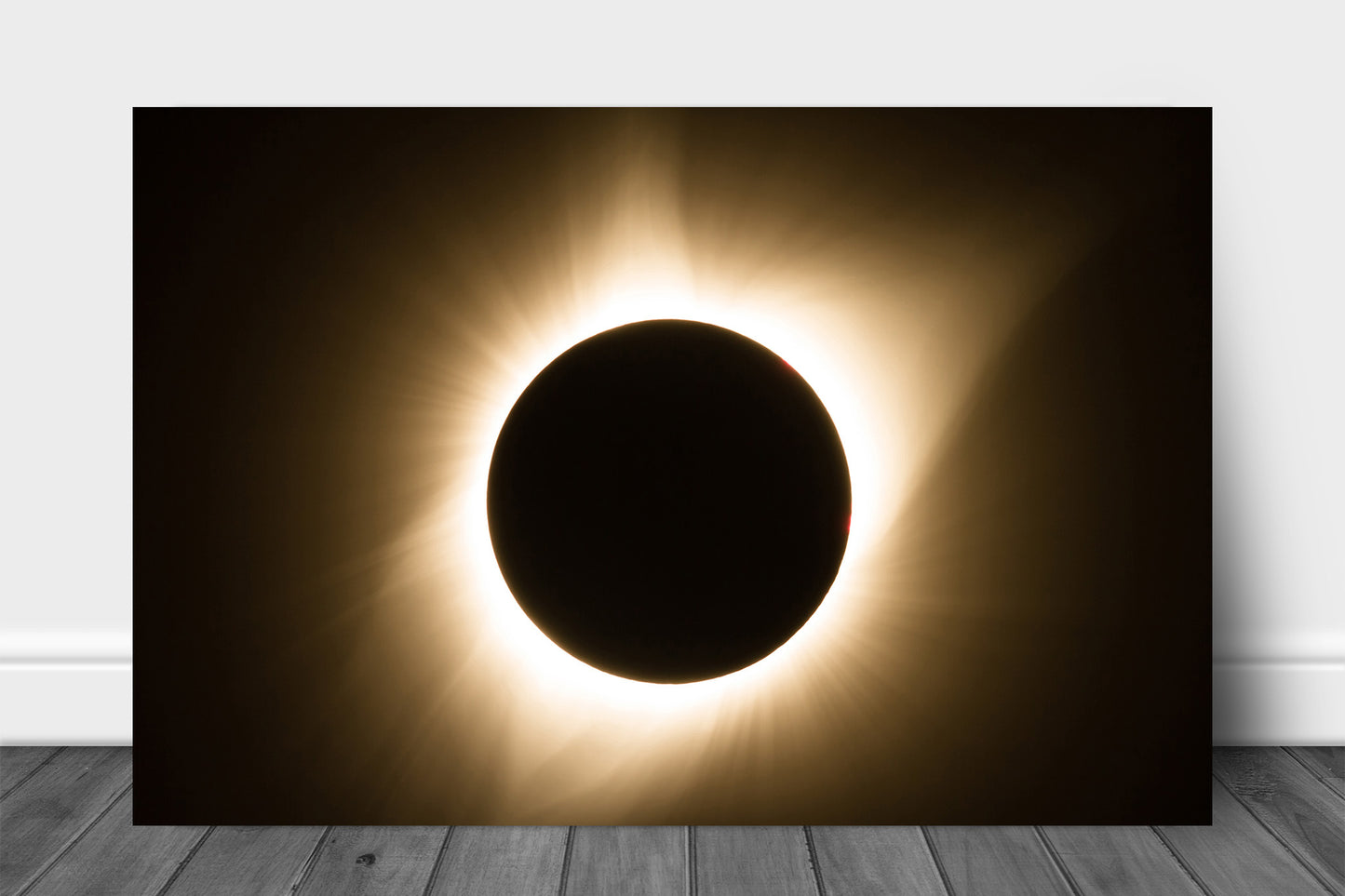 Celestial metal print wall art on aluminum of a total solar eclipse with bright gold corona by Sean Ramsey of Southern Plains Photography.