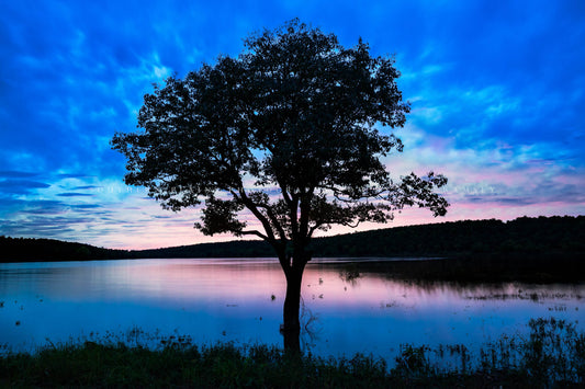 Landscape photography print of a tree in a lake as a silhouette against the evening sky at sunset on Lake Wister in eastern Oklahoma by Sean Ramsey of Southern Plains Photography.