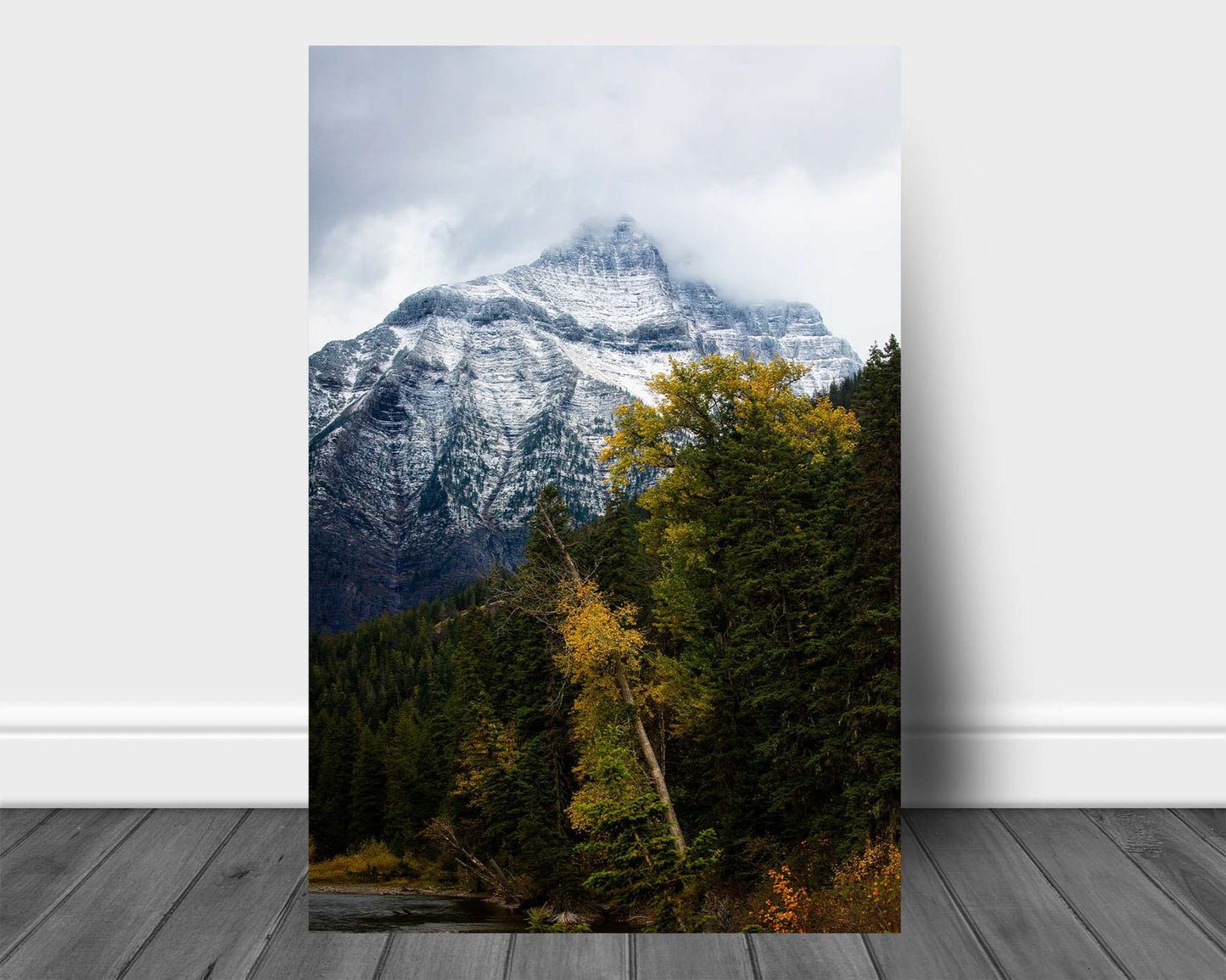 Vertical Rocky Mountain aluminum metal print wall art of a snowy peak overlooking trees with fall color on an autumn day in Glacier National Park, Montana by Sean Ramsey of Southern Plains Photography.