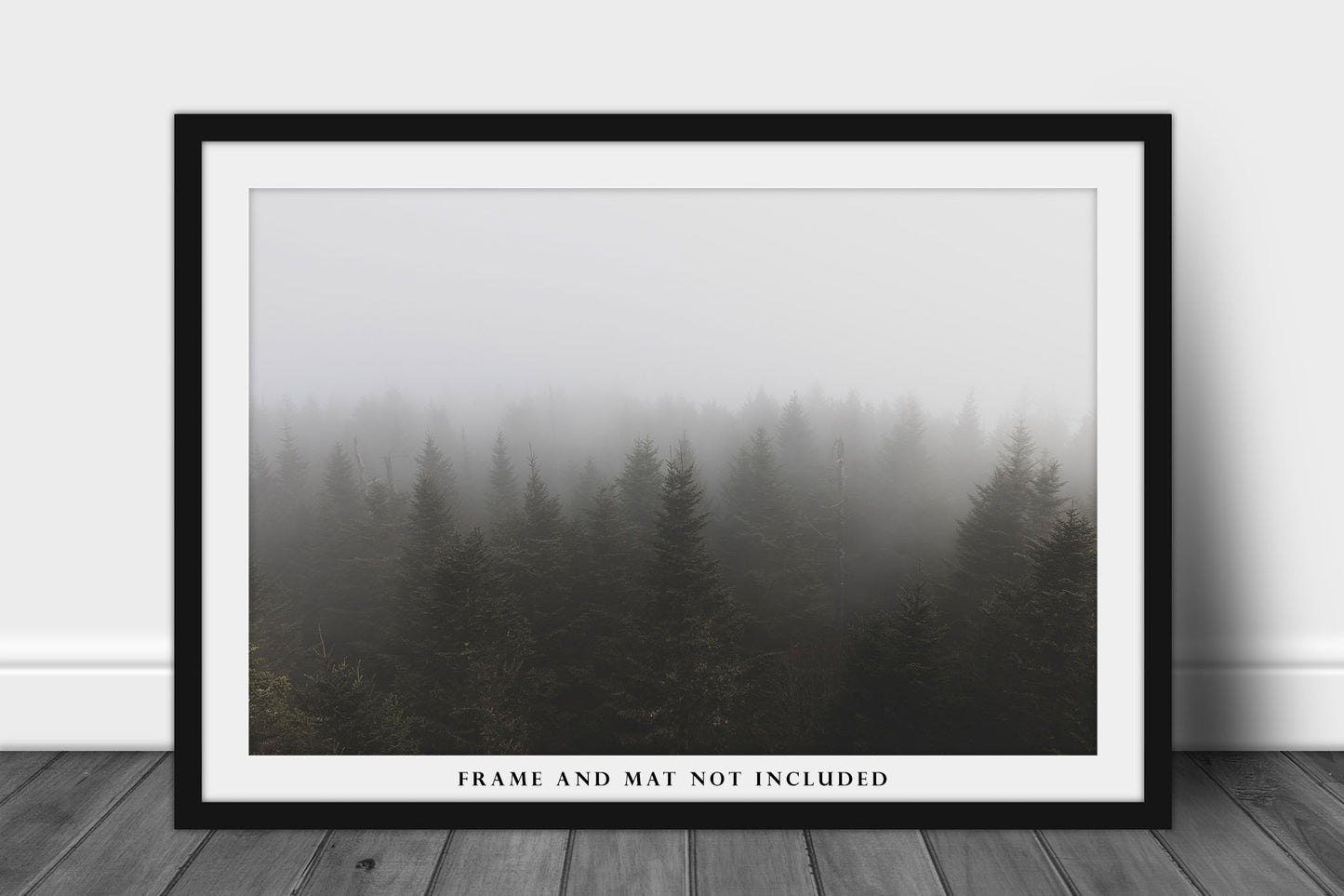 Forest Photo Print | Treetops in Fog Picture | North Carolina Wall Art | Great Smoky Mountains Photography | Nature Photo | Ethereal Decor