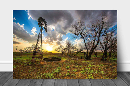 Country metal print on aluminum of an old windmill standing among charred trees at sunset on a spring evening in Kansas by Sean Ramsey of Southern Plains Photography.