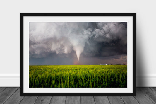 Framed and matted storm print of a tornado twisting over a wheat field on a stormy spring day in Texas by Sean Ramsey of Southern Plains Photography.