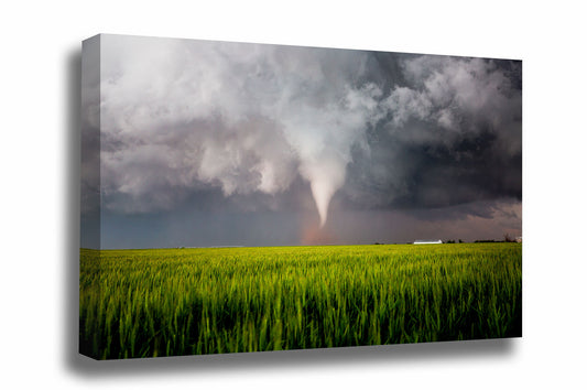 Storm canvas wall art of a tornado twisting over a wheat field on a stormy spring day in Texas by Sean Ramsey of Southern Plains Photography.