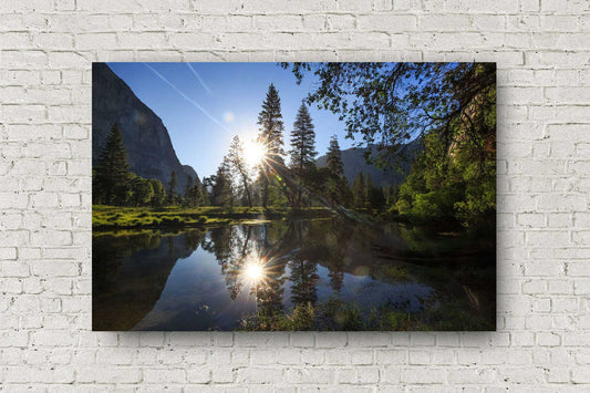 Sierra Nevada metal print on aluminum of the sun reflecting off the still waters of the Merced River on a summer morning in Yosemite National Park, California by Sean Ramsey of Southern Plains Photography.