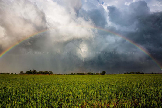 Storm photography print of a tornado under a full rainbow over a wheat field on a stormy spring day in Texas by Sean Ramsey of Southern Plains Photogarphy.