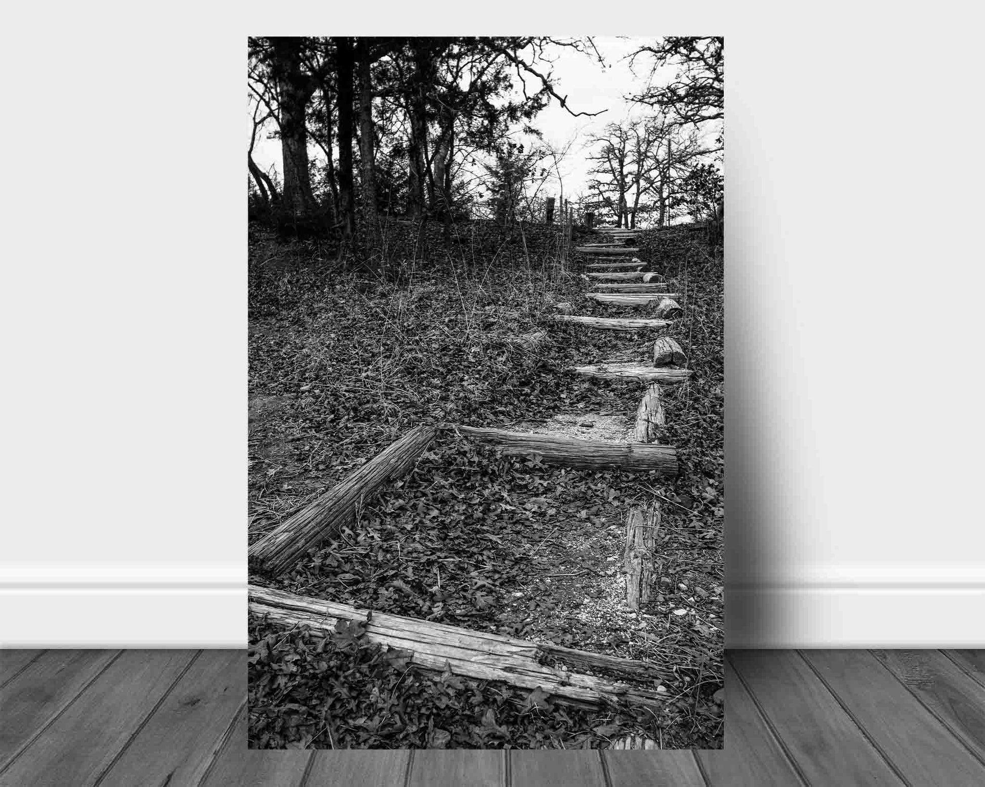 Vertical black and white outdoors aluminum metal print wall art of a trail covered in leaves leading up a hill on an autumn day in Oklahoma by Sean Ramsey of Southern Plains Photography.