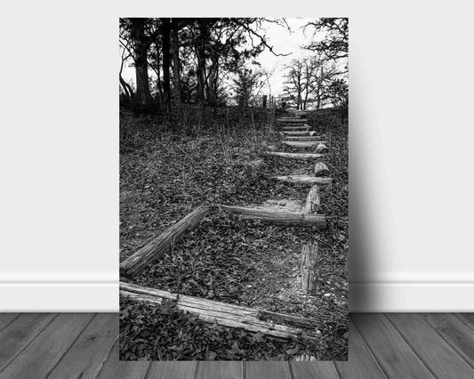 Vertical black and white outdoors aluminum metal print wall art of a trail covered in leaves leading up a hill on an autumn day in Oklahoma by Sean Ramsey of Southern Plains Photography.