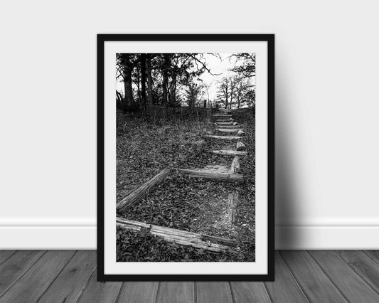 Framed vertical black and white outdoors print wall art of a trail covered in leaves leading up a hill on an autumn day in Oklahoma by Sean Ramsey of Southern Plains Photography.