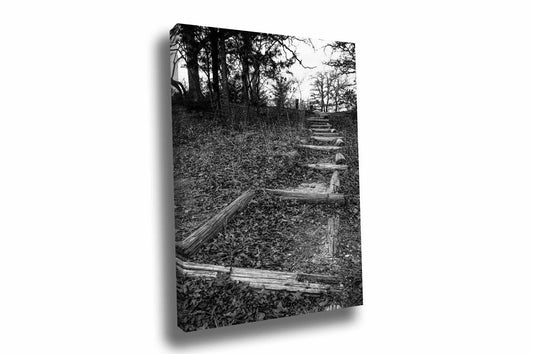 Vertical black and white outdoors gallery wrapped canvas wall art of a trail covered in leaves leading up a hill on an autumn day in Oklahoma by Sean Ramsey of Southern Plains Photography.