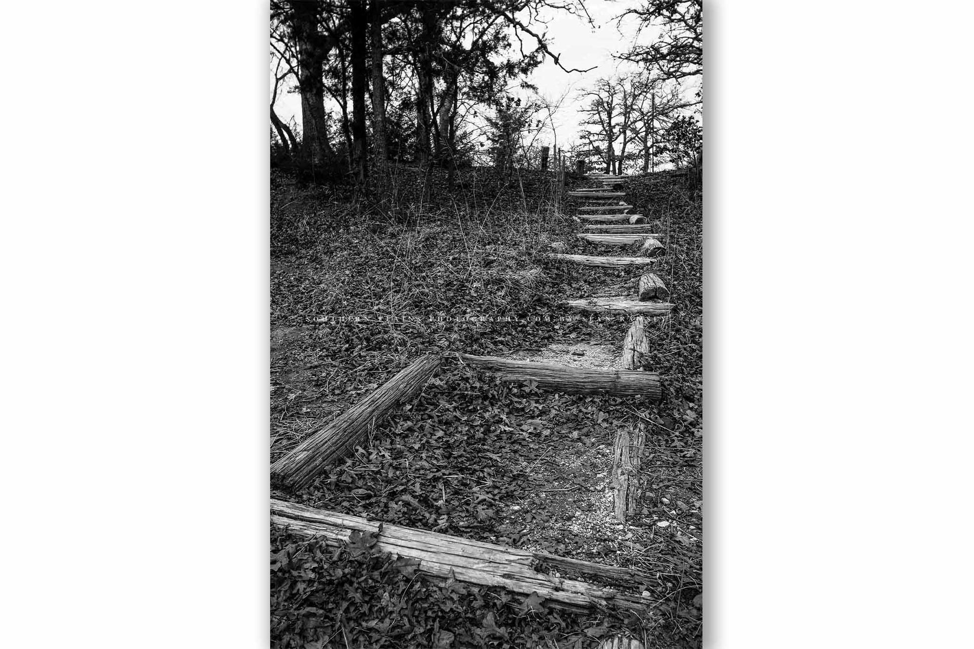 Vertical black and white outdoors photography print of a trail covered in leaves leading up a hill on an autumn day in Oklahoma by Sean Ramsey of Southern Plains Photography.
