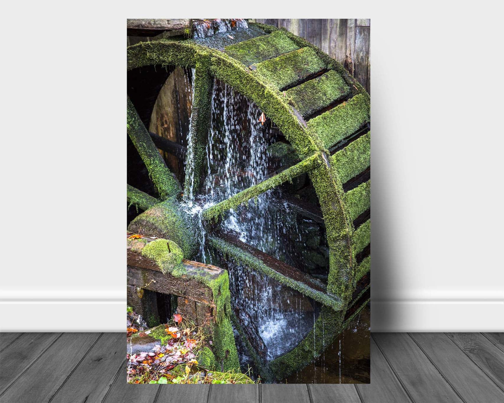 Rustic country aluminum metal print wall art of an old mill wheel covered in algae at Cades Cove in the Great Smoky Mountains of Tennessee by Sean Ramsey of Southern Plains Photography.