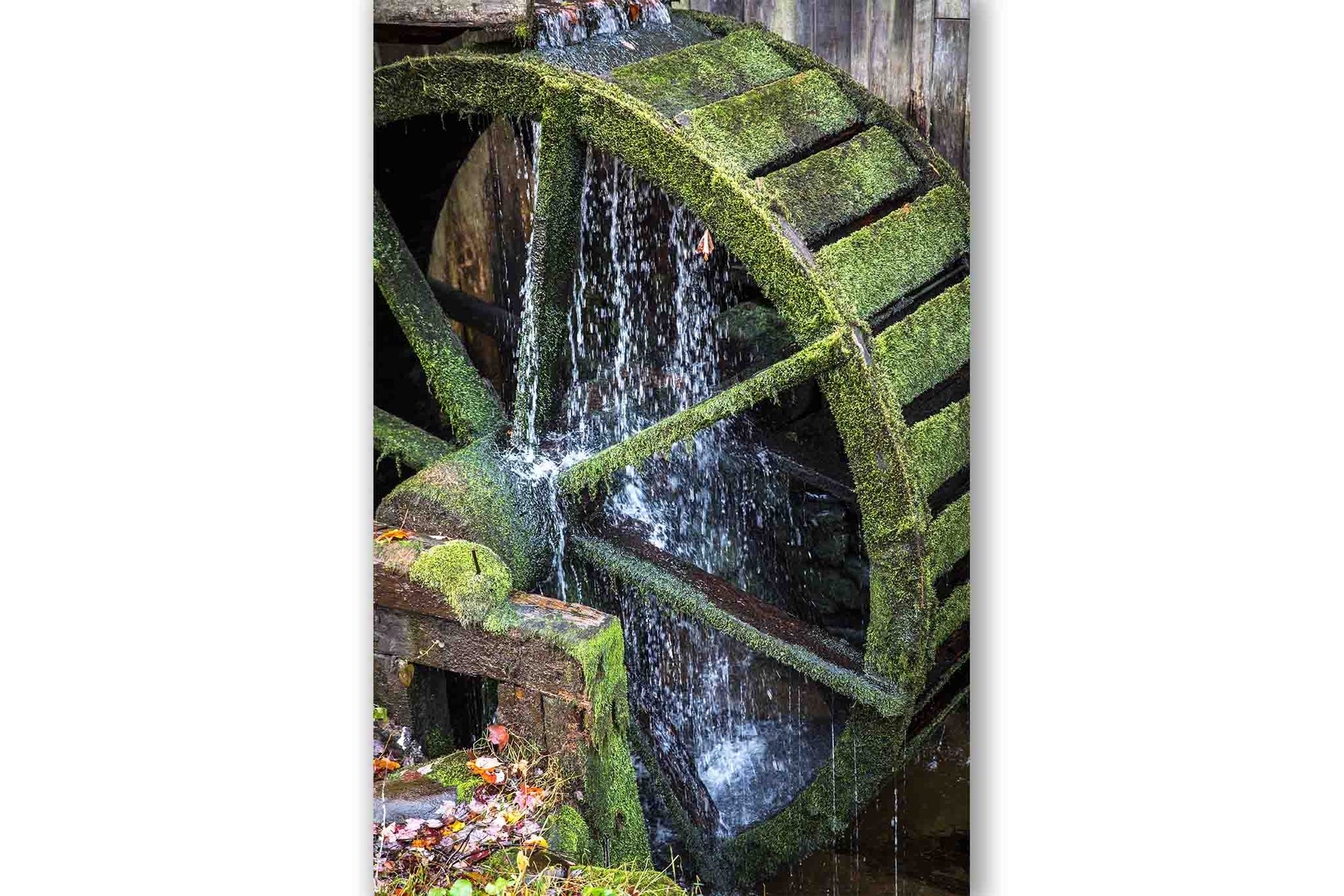 Vertical photography print water running over an old mill wheel on an autumn day at the John Cable Mill in Cades Cove in the Great Smoky Mountains of Tennessee by Sean Ramsey of Southern Plains Photography.