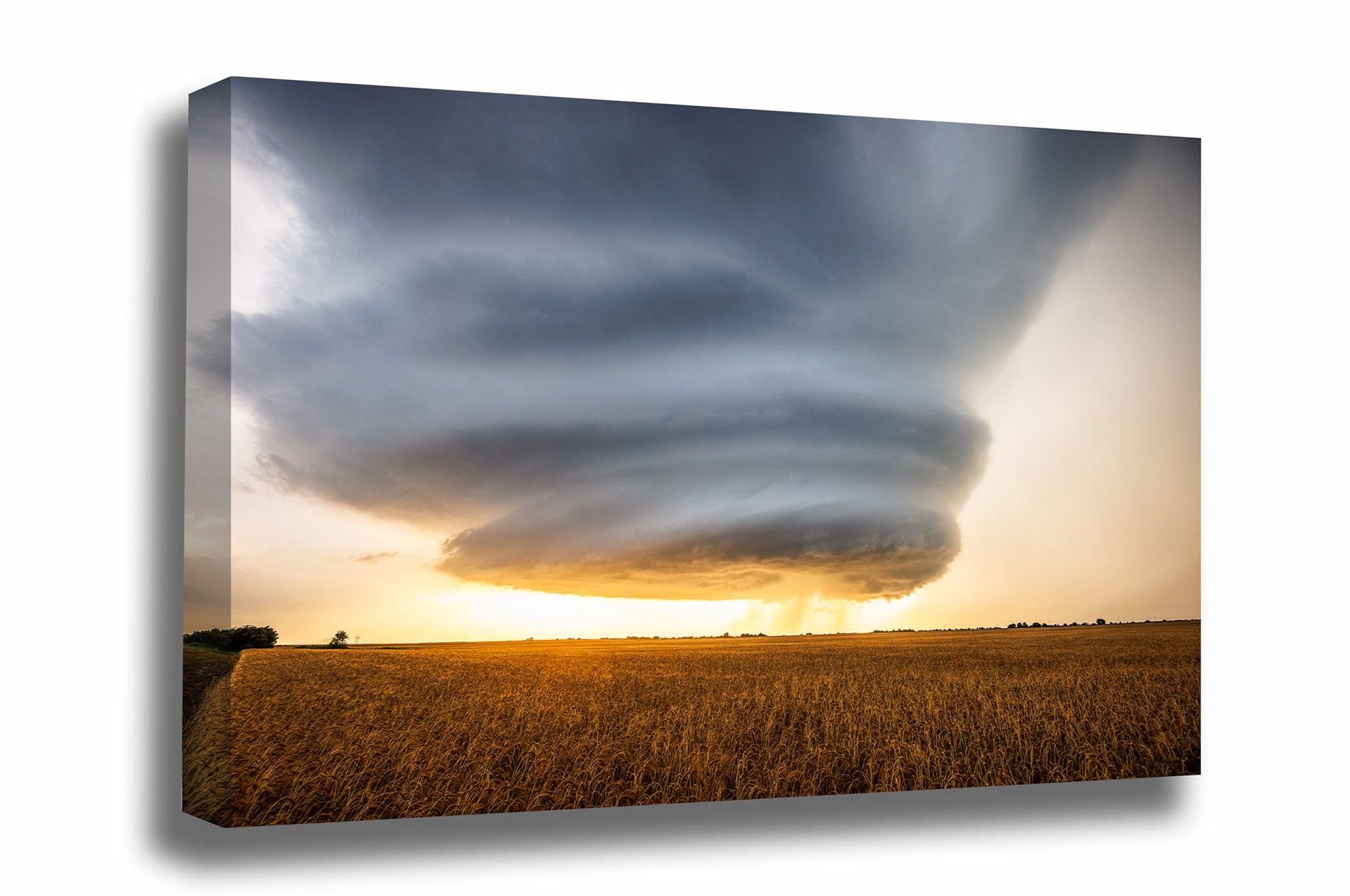 Storm canvas wall art of a sculpted supercell thunderstorm over a golden wheat field at sunset on a stormy evening in Oklahoma by Sean Ramsey of Southern Plains Photography.