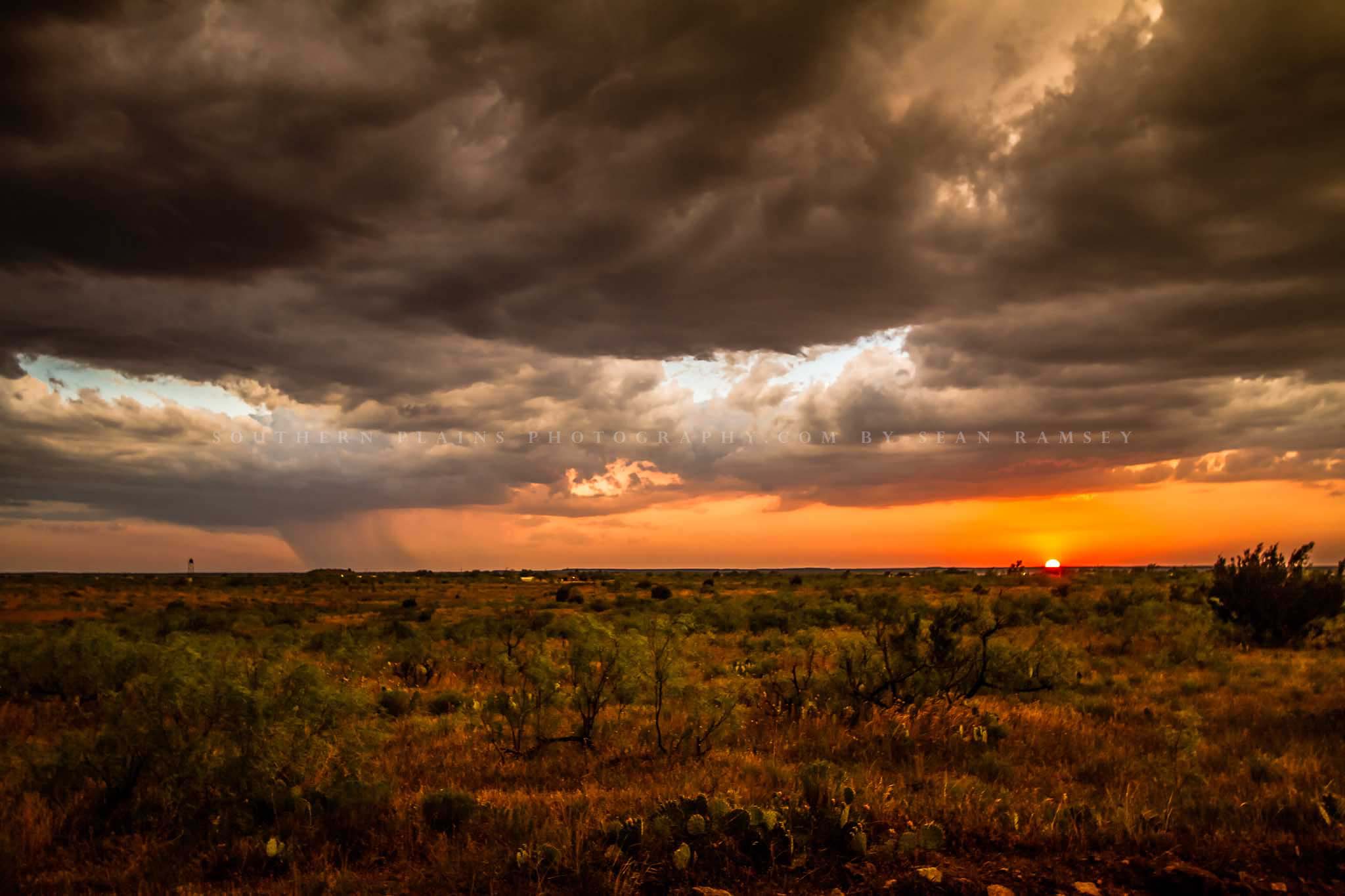 Texas Landscape