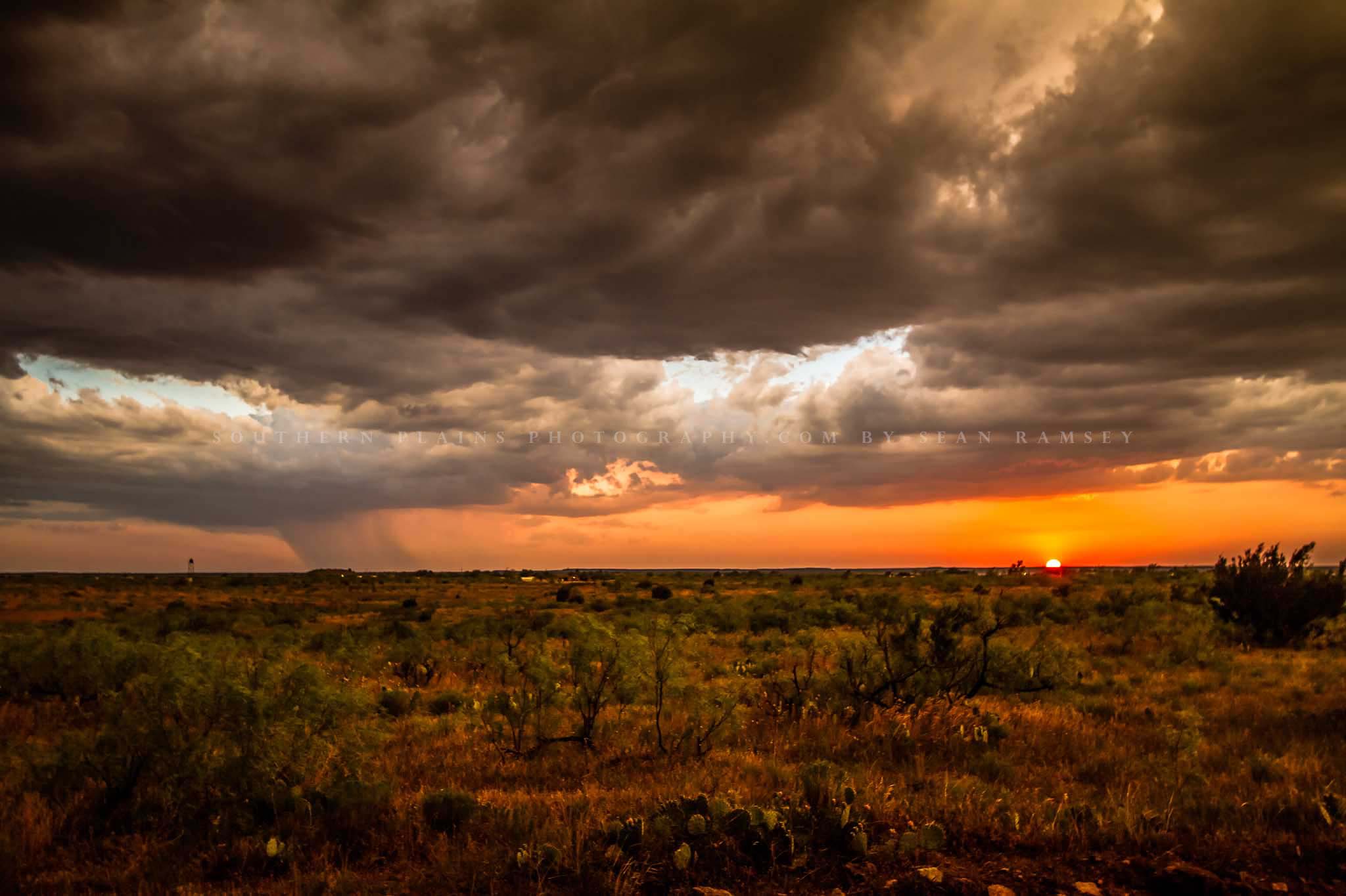 Western landscape photography print of a warm sunset over cactus and mesquite bushes on a stormy evening in West Texas by Sean Ramsey of Southern Plains Photography.