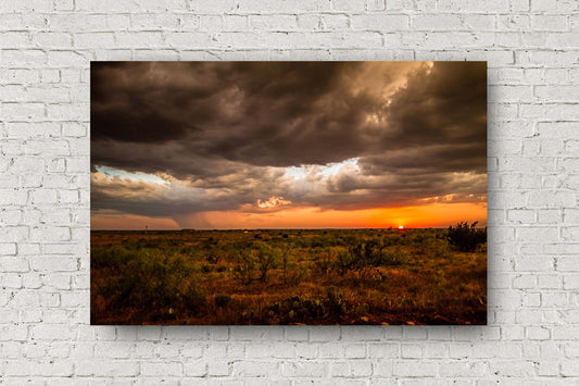 Western landscape metal print of a warm sunset taking place over the high desert on a stormy spring evening in West Texas by Sean Ramsey of Southern Plains Photography.