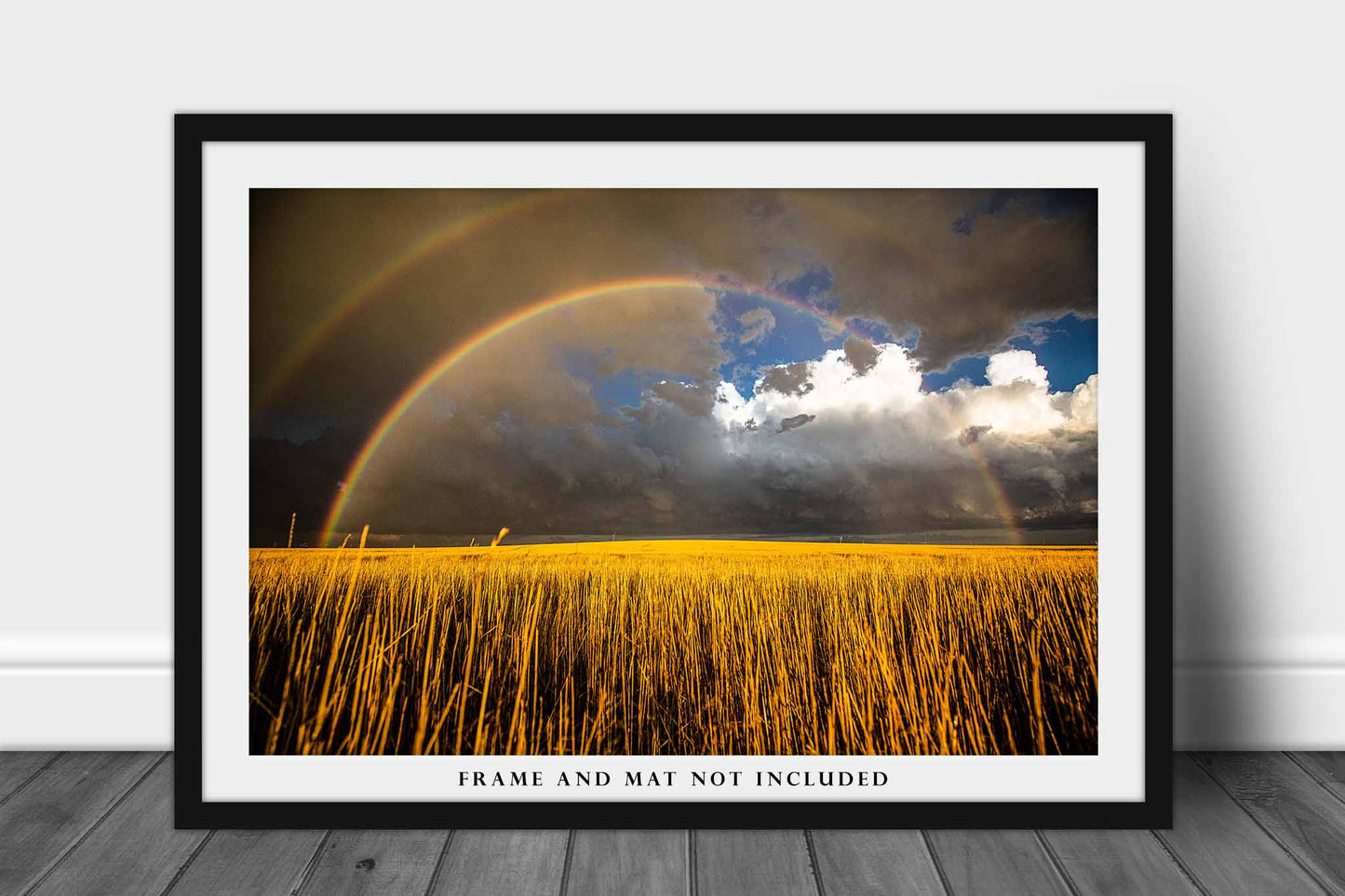 Great Plains Photo Print | Double Rainbow Over Golden Wheat Field Picture | Kansas Wall Art | Western Sky Photography | Nature Decor