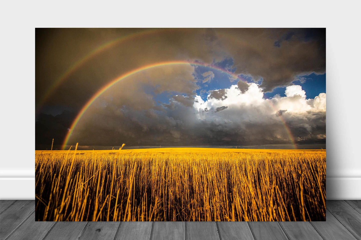 Great Plains aluminum metal print wall art of a double rainbow over a golden field on a stormy day in Kansas by Sean Ramsey of Southern Plains Photography.