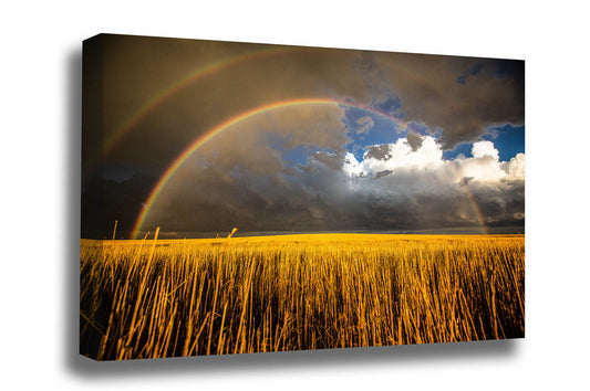 Nature photography print of a double rainbow shining over a golden wheat field on a stormy spring day in Kansas by Sean Ramsey of Southern Plains Photography.