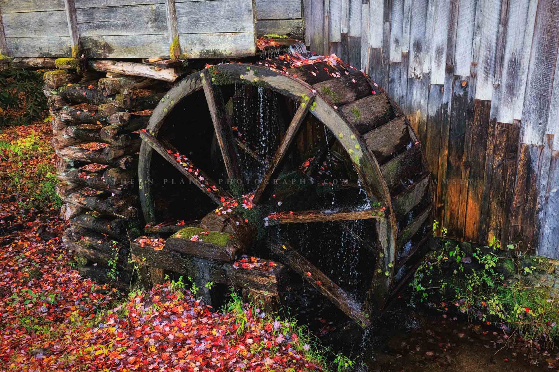 Rustic country photography print of an old grist mill wheel covered in fallen leaves on an autumn day in the Great Smoky Mountains of Tennessee by Sean Ramsey of Southern Plains Photography.