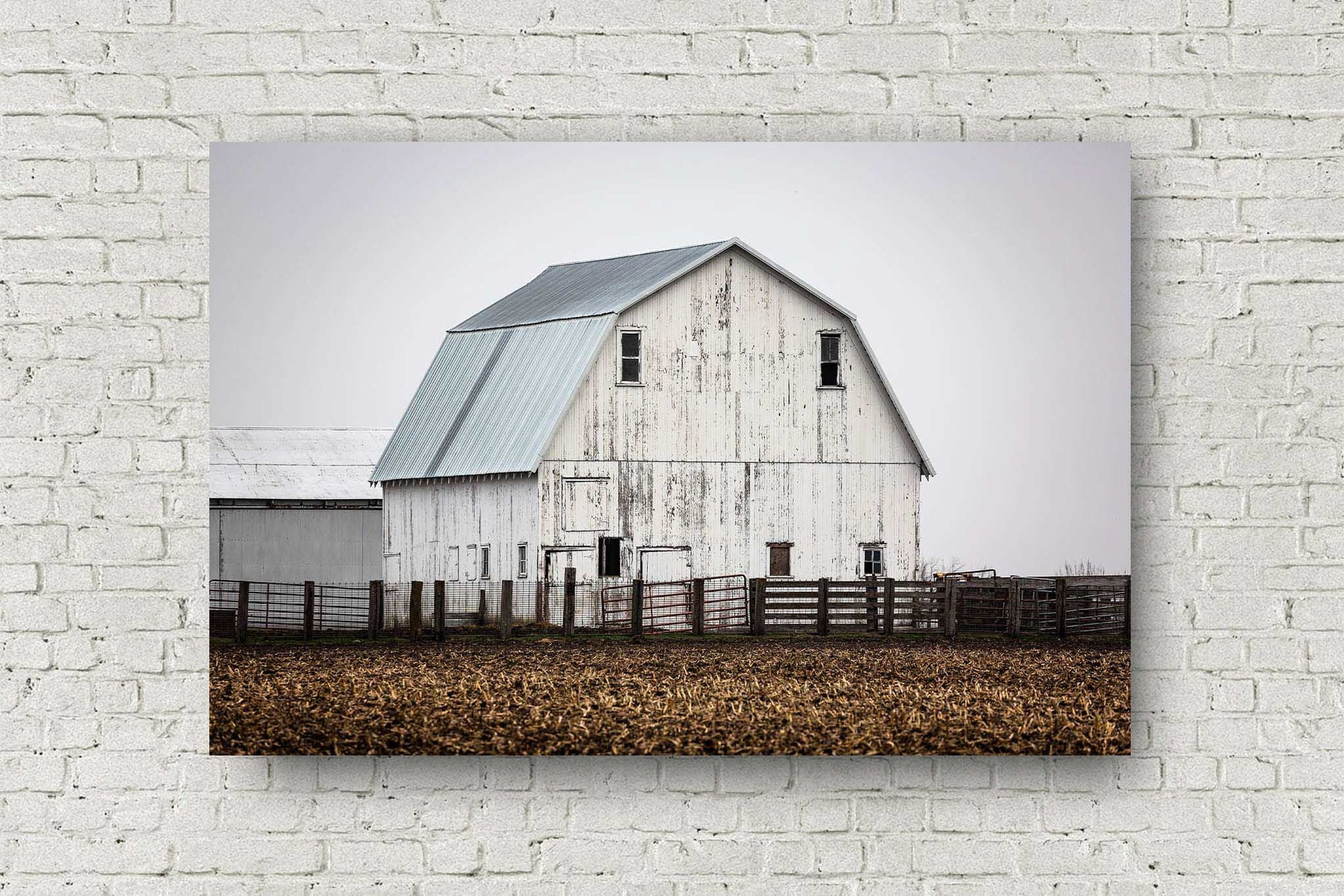 Farm metal print on aluminum of a rustic white barn against a gray sky on a foggy spring morning in Illinois by Sean Ramsey of Southern Plains Photography.