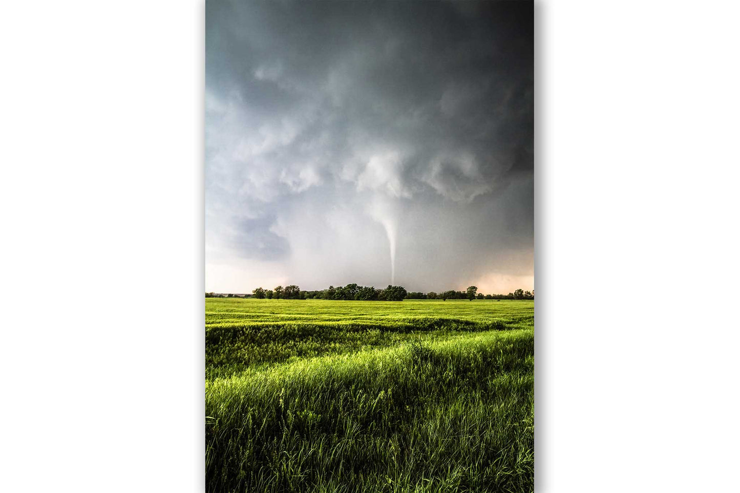 Vertical storm photography print of a tornado emerging from heavy rain within a supercell thunderstorm on a spring day in Kansas by Sean Ramsey of Southern Plains Photography.