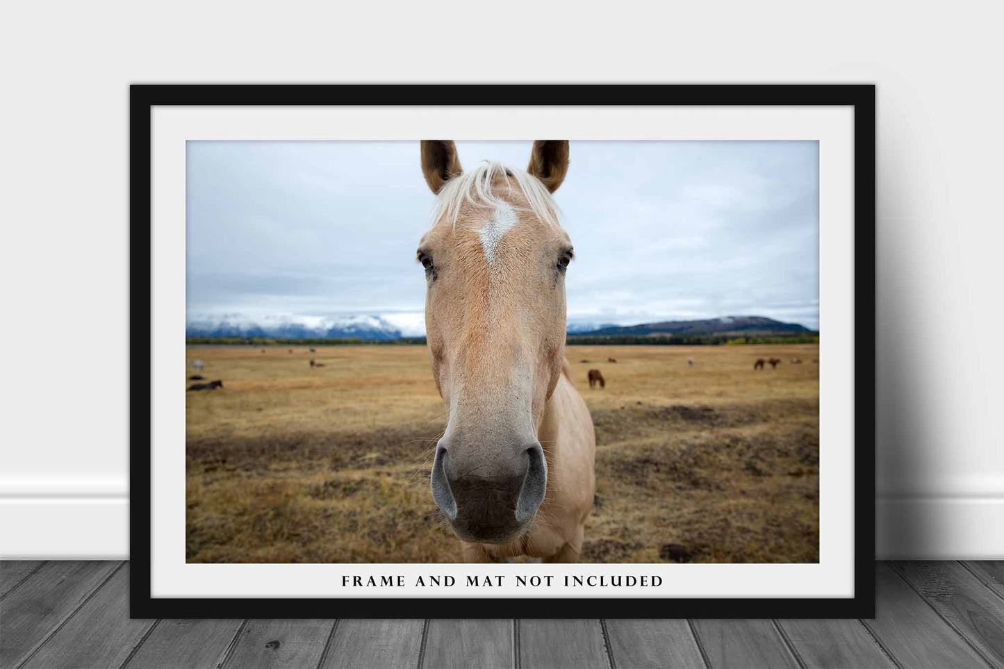 Horse Photography Print | Equine Picture | Grand Teton National Park Wall Art | Wyoming Photo | Western Decor | Not Framed