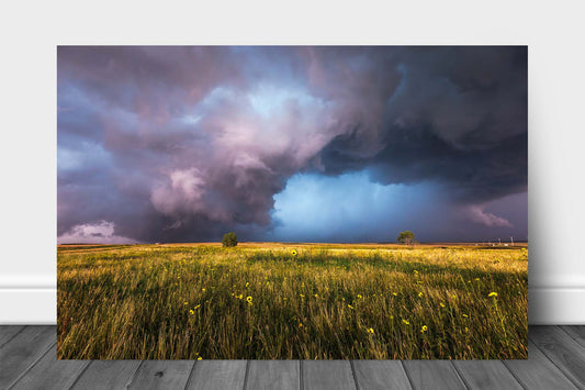 Storm aluminum metal print wall art of a supercell thunderstorm over a prairie landscape on a stormy spring day in Oklahoma by Sean Ramsey of Southern Plains Photography.