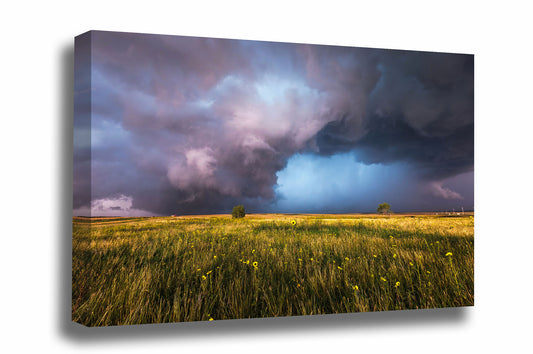 Storm gallery wrapped canvas wall art of a supercell thunderstorm over a prairie landscape on a stormy spring day in Oklahoma by Sean Ramsey of Southern Plains Photography.