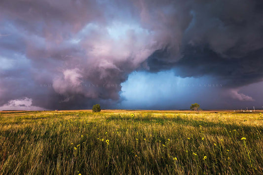 Storm photography print of a supercell thunderstorm over a prairie landscape on a stormy spring day in Oklahoma by Sean Ramsey of Southern Plains Photography.