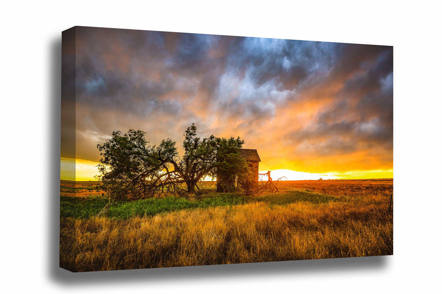 Prairie canvas wall art of a stormy sunset taking place over an old barn and windswept tree on the plains of Oklahoma by Sean Ramsey of Southern Plains Photography.