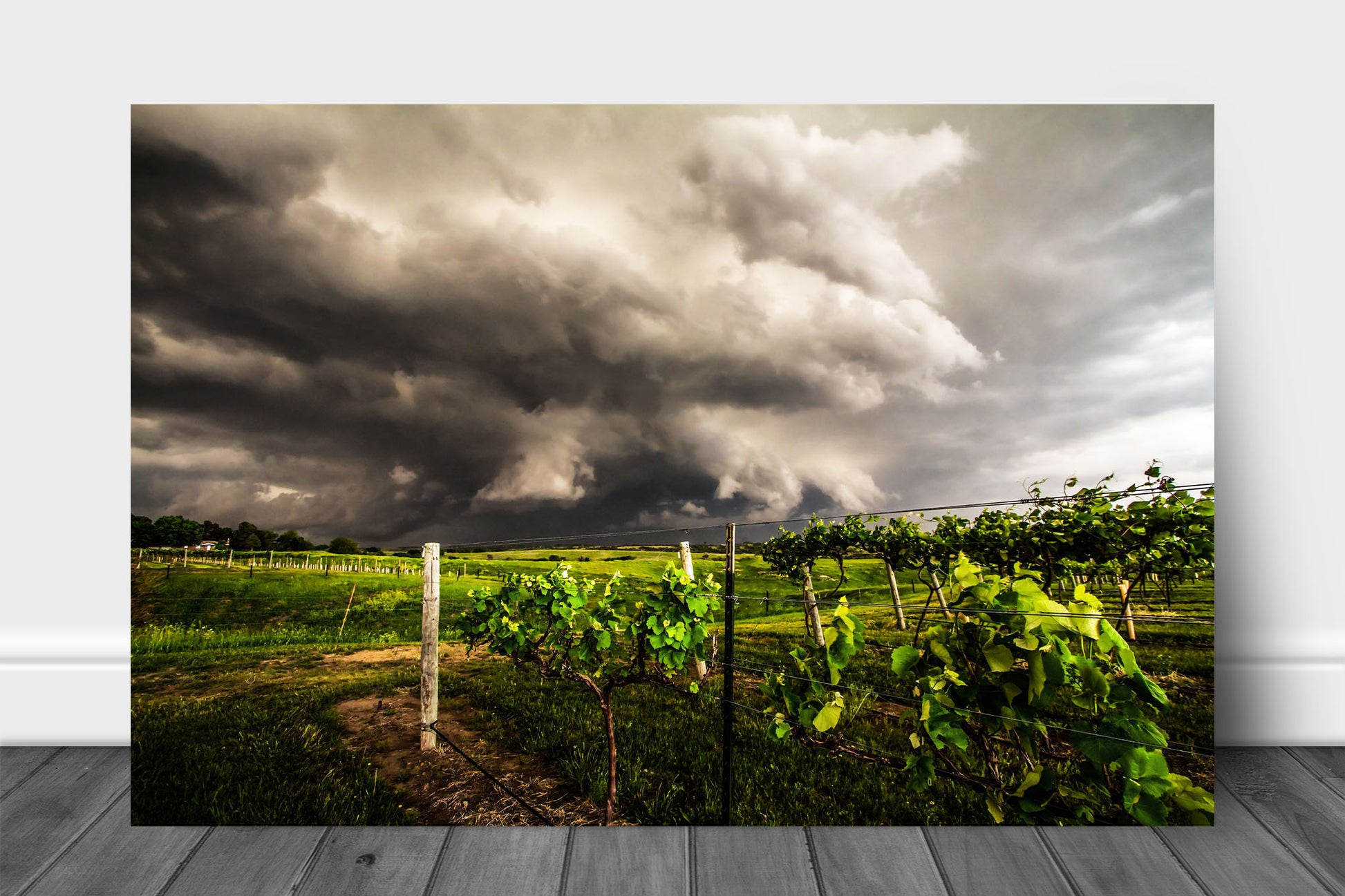 Storm aluminum metal print wall art of a thunderstorm advancing over a vineyard on a stormy spring day in Nebraska by Sean Ramsey of Southern Plains Photography.