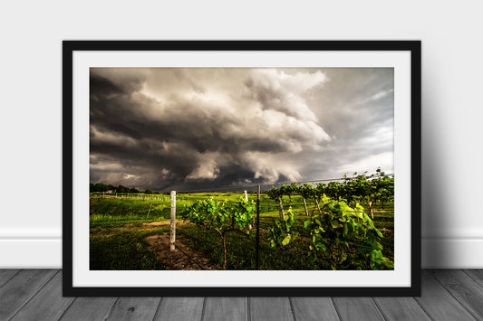 Storm framed print of a thunderstorm advancing over a vineyard on a stormy spring day in Nebraska by Sean Ramsey of Southern Plains Photography.