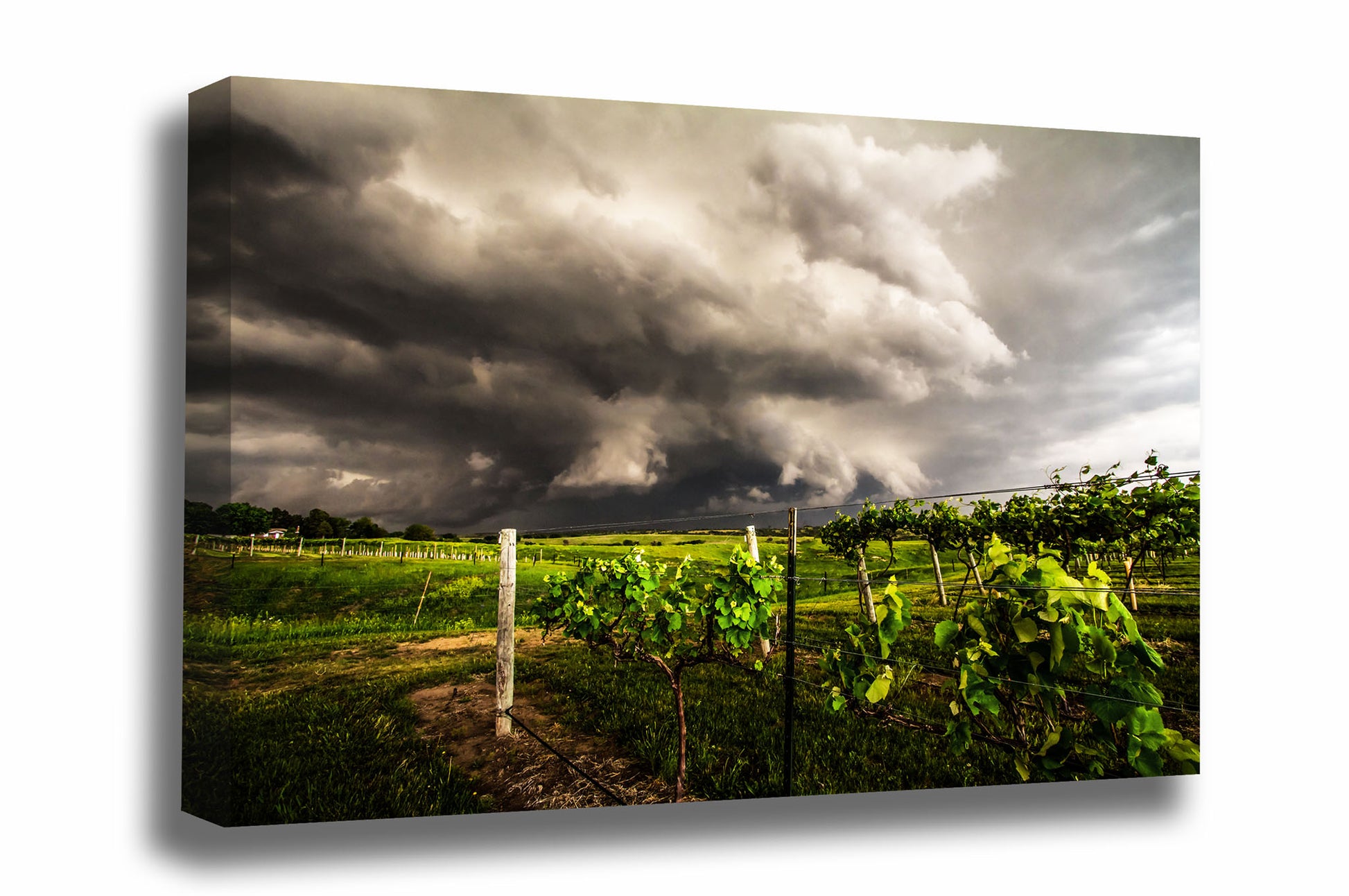 Storm gallery wrapped canvas wall art of a thunderstorm advancing over a vineyard on a stormy spring day in Nebraska by Sean Ramsey of Southern Plains Photography.