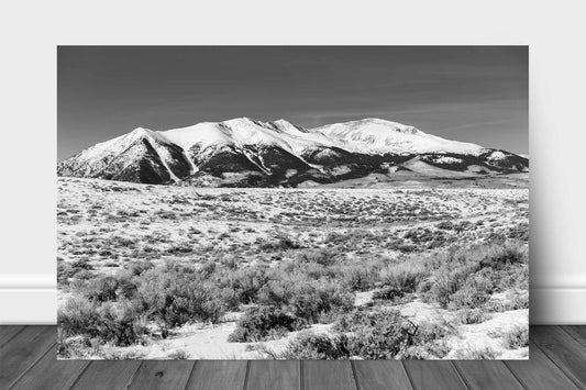 Black and White Rocky Mountains aluminum metal print wall art of Mount Elbert overlooking a snowy landscape on a winter day in Colorado by Sean Ramsey of Southern Plains Photography.